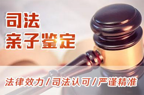 鹰潭司法亲子鉴定条件和材料,鹰潭司法亲子鉴定准确吗