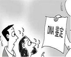 鹰潭个人DNA亲子鉴定基本流程，鹰潭匿名亲子鉴定多少费用
